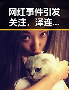 网红事件引发关注，泽连斯基愿与普京直接对话，新乡高温橙色预警成焦点对比