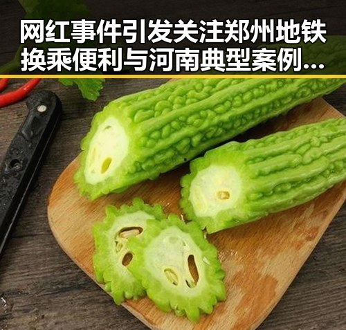 网红事件引发关注郑州地铁换乘便利与河南典型案例曝光形成反差